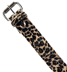 LEOPARD